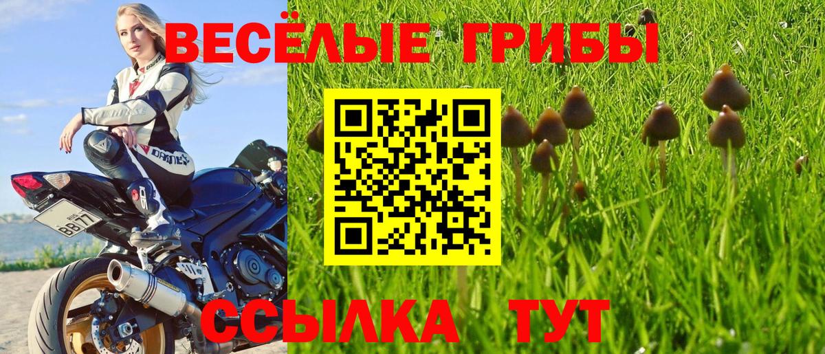 Псилоцибиновые грибы прущие грибы  где купить наркоту  Химки  Вход с VPN 
